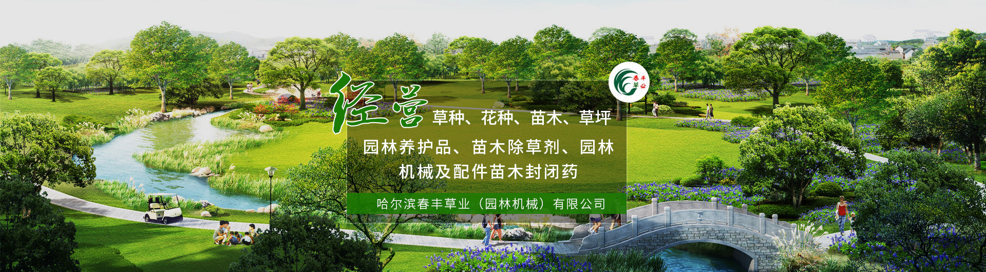 黑龙江草籽花籽