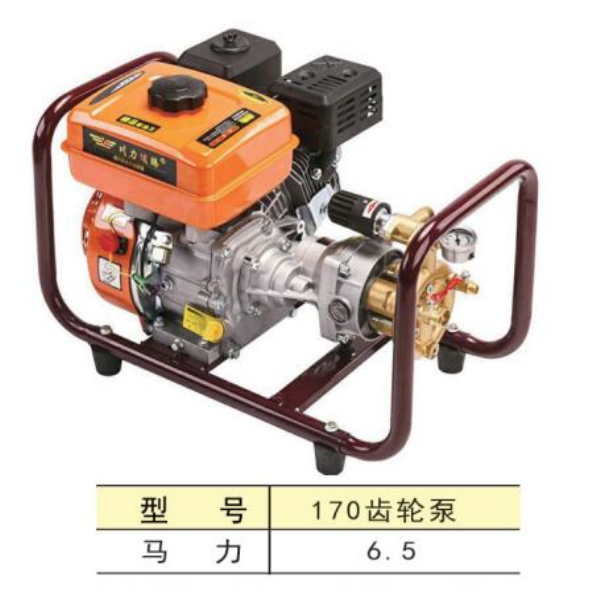 通化专业草坪价格