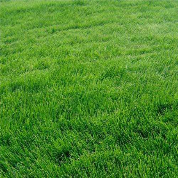 临江专业油镐价格